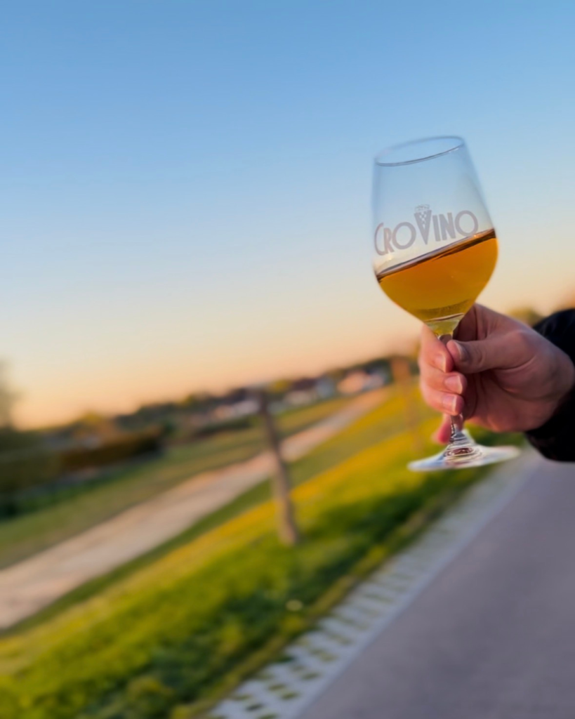 Oranje wijn uit Kroaitë, Chardonnay Reserva van Iuris